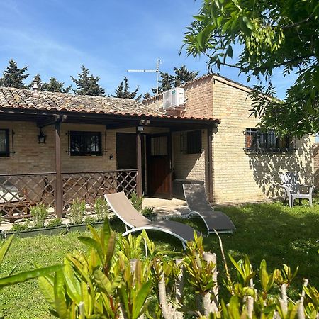 La Capparuccia Lejlighed Civitanova Marche Eksteriør billede