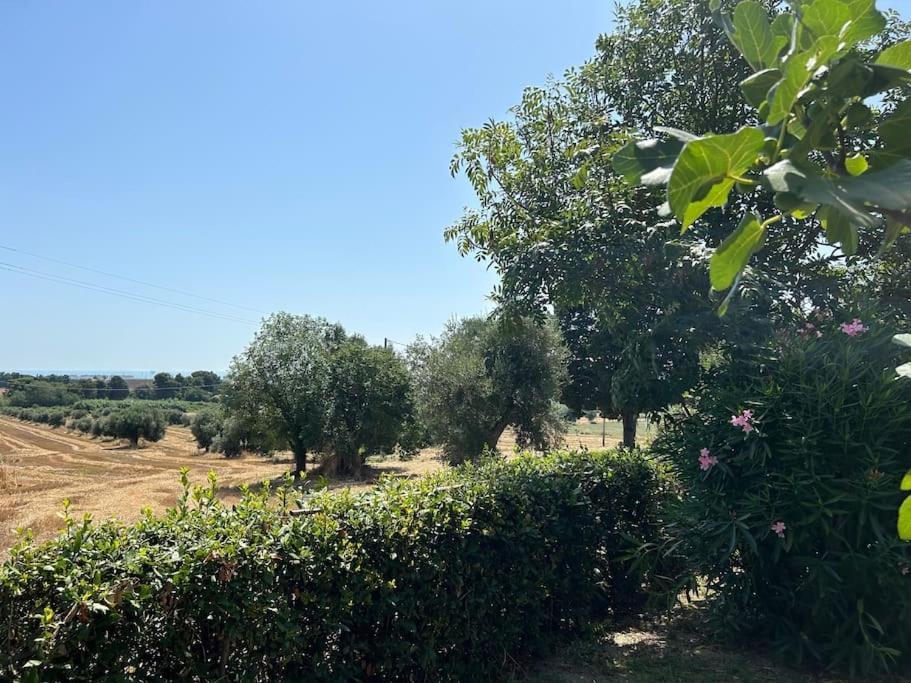 La Capparuccia Lejlighed Civitanova Marche Eksteriør billede